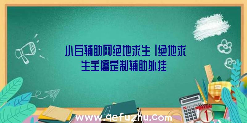 「小白辅助网绝地求生」|绝地求生主播定制辅助外挂